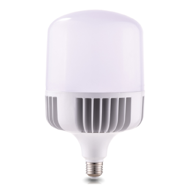 Die-Cast Aluminum T-Series LED Bulbs