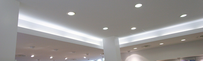 LED Ceiling Light