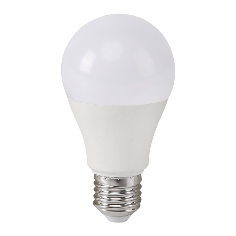 AC/DC 12-60V LED Bulbs